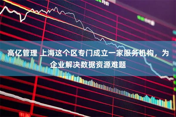 高亿管理 上海这个区专门成立一家服务机构，为企业解决数据资源难题