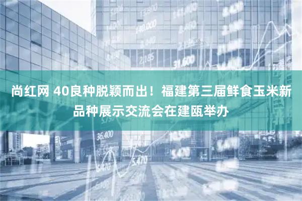 尚红网 40良种脱颖而出！福建第三届鲜食玉米新品种展示交流会在建瓯举办