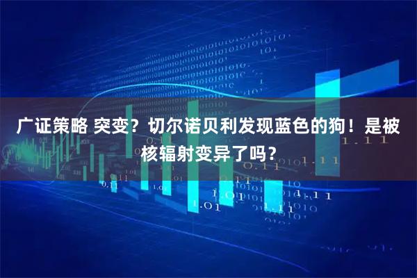 广证策略 突变？切尔诺贝利发现蓝色的狗！是被核辐射变异了吗？